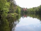 Etang du Petit Bois